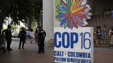 COP16 pour la biodiversité, accord sur le Doliprane et Trump chez McDonald’s